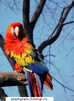 minunate culori ca cele ale la fel cum noi coloram viatza celorlalti