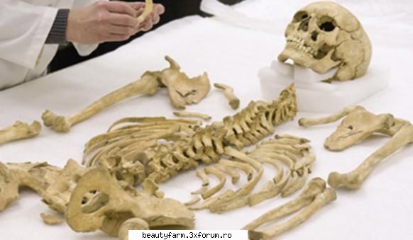 fosilele umane vorbesc despre viata primelor colonii americane fosilele umane vorbesc despre viata