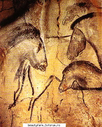 top cele mai importante animale disparute din romania tarpanul sau calul salbatic european (equus