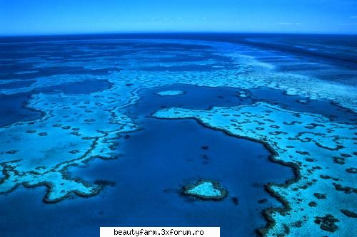 locuri vizitat inainte disparea marea bariera corali, australia multe dintre lucrurile care
