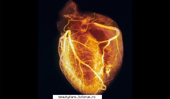 inima umana isi poate regenera celulele inima umana isi poate regenera celuleleo recenta medicilor