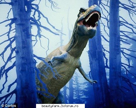 extinctia 300.000 ani dupa impact