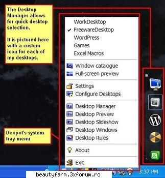 dexpot will allow you to set up and customize virtual desktops within windows such that each can