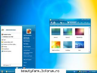 windows live theme for xp-free download