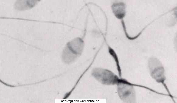fie acesta sfarsitul sperma din cadrul newcastle university northeast england stem cell institute,