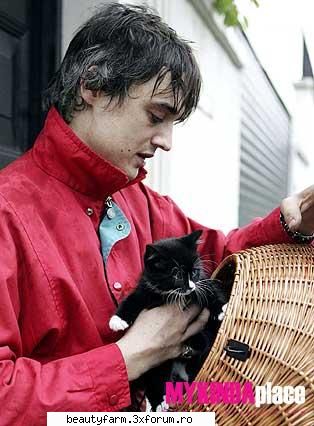 pisicute pete doherty