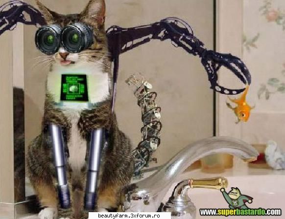 cyber cat