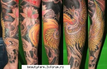 gallery tattoo tattoo fenice