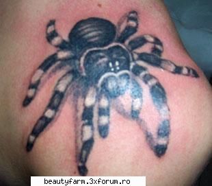 gallery tattoo spider tattoo