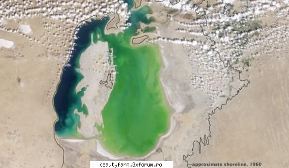 : cei zece ani care au �ravasit� Terra - cei zece ani care au �ravasit� Terra Cu ocazia - WORLD CAFFE