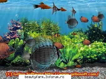 3D Fish School Screensaver - FREE DOWNLOAD - DESCARCA GRATIS : SCARICA GRATIS : This is one - SCREEN SAVERS