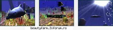 3D WILD DOLPHIN SCREENSAVER - FREE DOWNLOAD - DESCARCA GRATIS : SCARICA GRATIS : DESCRIPTION - SCREEN SAVERS