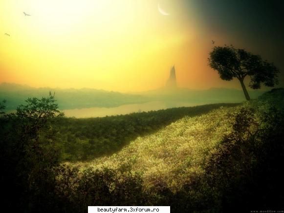 3d LANDSCAPE PICTURES / FOTO - ADMIN-ELECTRIK_CAT - STRANGE PICS