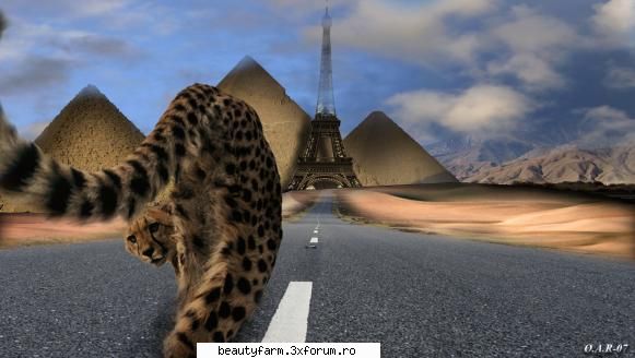 3d LANDSCAPE PICTURES / FOTO - ADMIN-ELECTRIK_CAT - STRANGE PICS