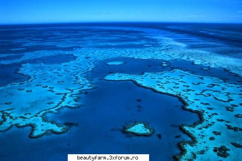 marea bariera de corali, australia 

multe dintre lucrurile pe care le consideram anomalii vor