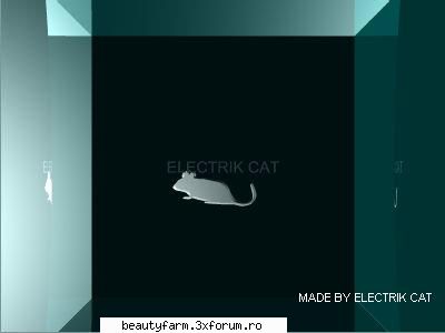Â®Ã† BLACK CODE-Electrik Â¼CatÂ© - A SI MAI AM UN MODEL .....SI CURAJ LUME POSTATI - COOL STUFF