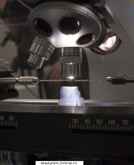 Aerogelul � materialul minune al viitorului - Magia golurilor Saptezeci de ani mai tarziu, in - COOL STUFF