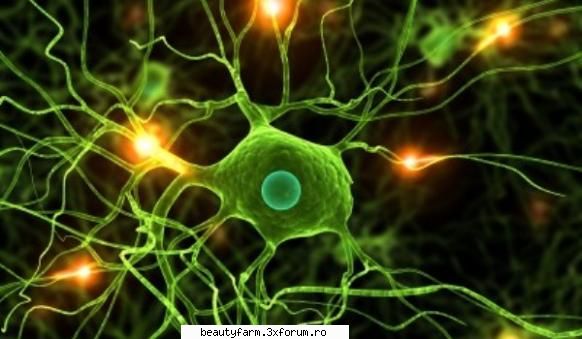 Amintirile nu vor mai �chinui� pe nimeni - A fost descoperit un sistem in masura sa le - COOL STUFF