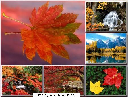Autumn Wallpapers (HQ) - ADMIN-ELECTRIK_CAT - SCREEN SAVERS