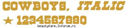 BOLD FONTS - FREE DOWNLOAD - Cowboys font A western font that resembles - FLASH,HTML,JAVA SCRIPT,PHP...
