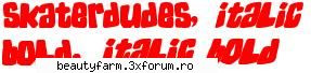 BOLD FONTS - FREE DOWNLOAD - Skaterdudes font PC MAC - FLASH,HTML,JAVA SCRIPT,PHP...