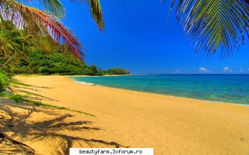 Beautiful Nature Wallpapers-free download - ADMIN-ELECTRIK_CAT - SCREEN SAVERS