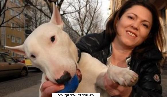 Cainele care spune �mama� - Cainele care spune �mama� Pe nume Armani, un - ALTE ANIMALE