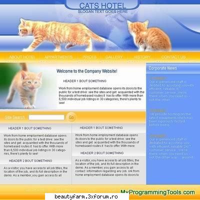 Cats Hotel Template - Cats Hotel Template - FLASH,HTML,JAVA SCRIPT,PHP...