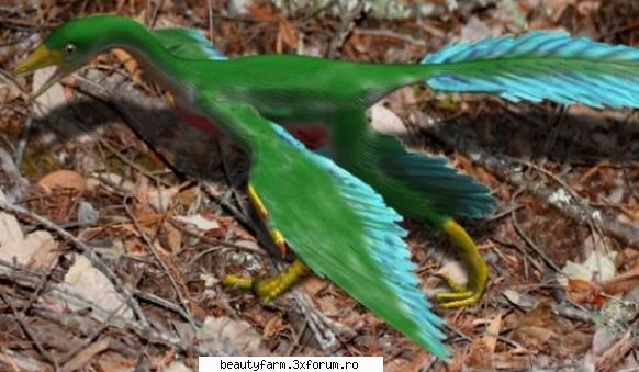 Ce culoare aveau dinozaurii? - Ce culoare aveau dinozaurii? Pana acum - COOL STUFF