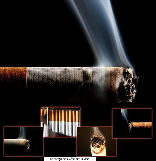 Cigarette Wallpapers-free download - Cigarette Wallpapers 22 | JPG | 1600X1200 | 6,5MB - SCREEN SAVERS