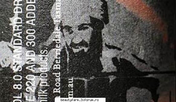Cu dragoste, de la Osama Bin Laden - Cu dragoste, de la Osama Bin Laden O companie - COOL STUFF