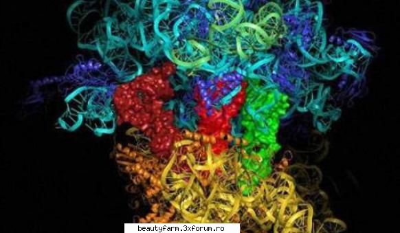 Cu un pas mai aproape de viata artificiala - Cu un pas mai aproape de viata artificiala - COOL STUFF