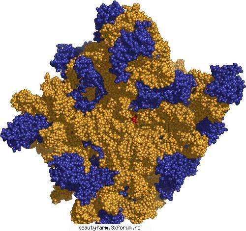 Cu un pas mai aproape de viata artificiala - Ceea ce oamenii de stiinta americani au - COOL STUFF