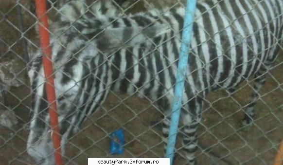 Cum arata gradinile zoologice in tarile arabe - Vizita la o gradina zoologica este, cu - WORLD CAFFE