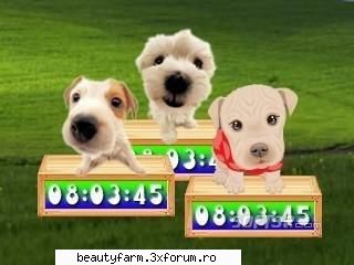 Cute Puppy Clock V1.2-free download soft descarca gratis programe - Free Full Download from - SOFT-URI