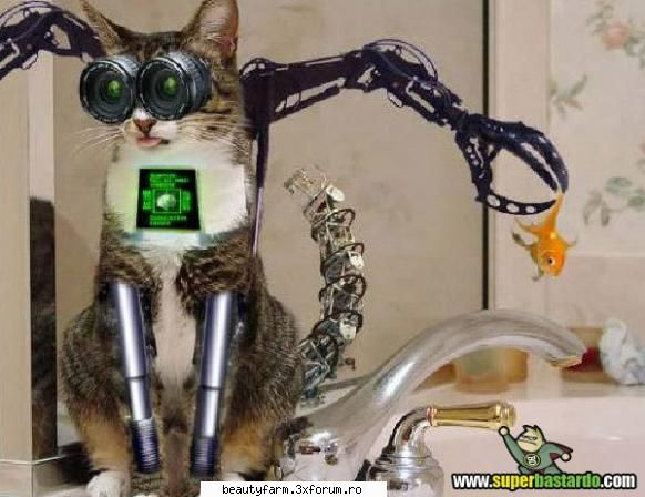 Cyber Cat - ADMIN-ELECTRIK_CAT - ELECTRIK CATS