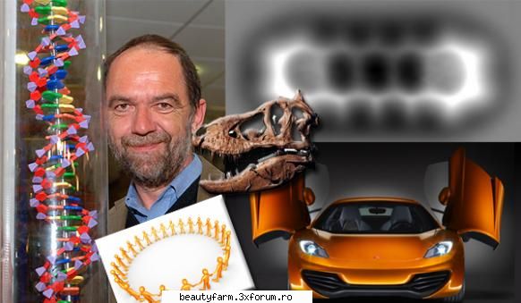 D-numbers - D-numbers: 10 septembrie T-rex de vanzare - WORLD CAFFE