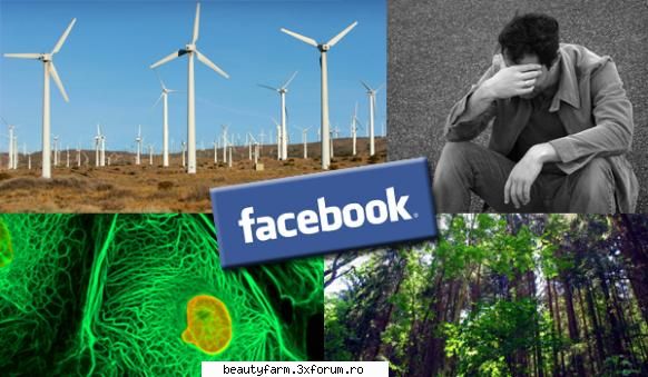 d-numbers: 16 costa saharei in padure? facebook a inceput sa faca bani. a fost gena care provoaca