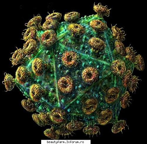 DESCOPERA TEORIA CONSPIRATIEI - 6. SIDA, Ebola si SARS au fost inventate in - WORLD CAFFE