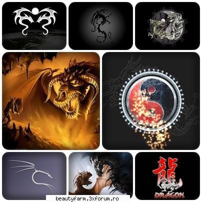 Dragons wallpapers-free download - Dragons wallpapers down-load - SCREEN SAVERS