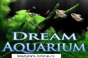 Dream Aquarium 1.177 Screensaver Full-free download - Dream Aquarium 1.177 Screensaver Full - SCREEN SAVERS