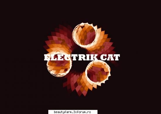 ELECTRIK SPECTRUM - Â®Ã†BLACK-Electrik Â¼CatÂ© - STRANGE PICS