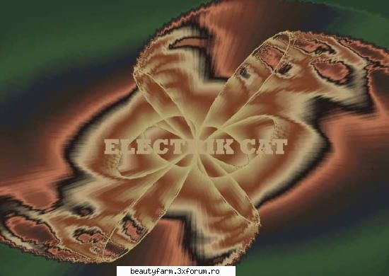ELECTRIK SPECTRUM - Â®Ã†BLACK-Electrik Â¼CatÂ© - STRANGE PICS