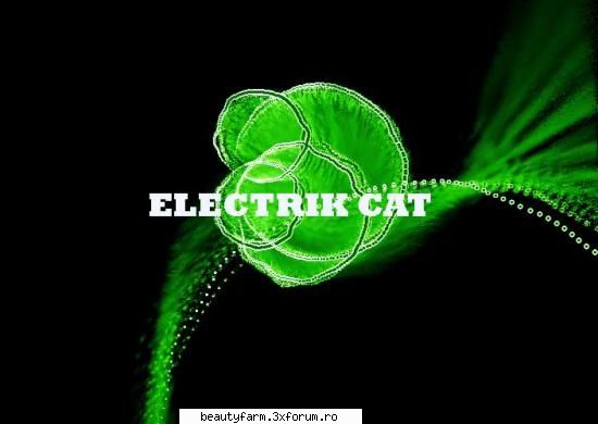 ELECTRIK SPECTRUM - Â®Ã†BLACK-Electrik Â¼CatÂ© - STRANGE PICS