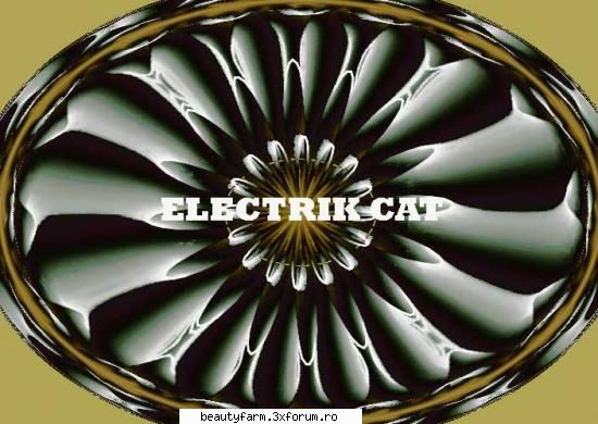 ELECTRIK SPECTRUM - Â®Ã†BLACK-Electrik Â¼CatÂ© - STRANGE PICS