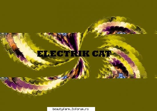ELECTRIK SPECTRUM - Â®Ã†BLACK-Electrik Â¼CatÂ© - STRANGE PICS