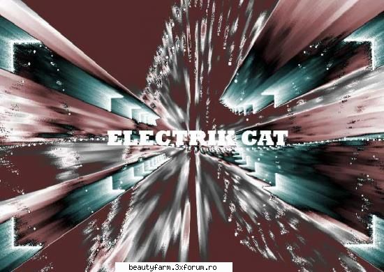 ELECTRIK SPECTRUM - Â®Ã†BLACK-Electrik Â¼CatÂ© - STRANGE PICS
