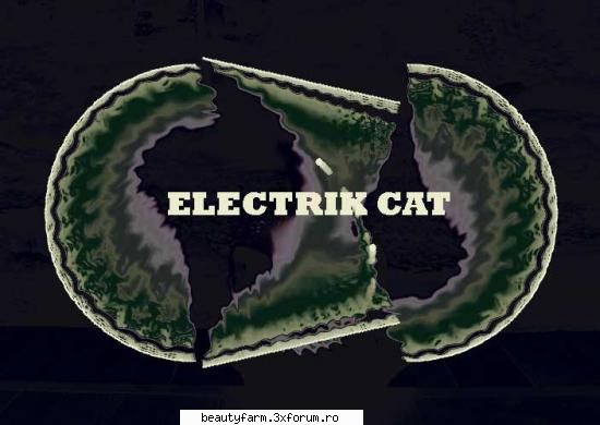 ELECTRIK SPECTRUM - Â®Ã†BLACK-Electrik Â¼CatÂ© - STRANGE PICS