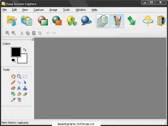 Easy Screen Capture v -free download soft - Easy Screen Capture v Free Full Download from - SOFT-URI
