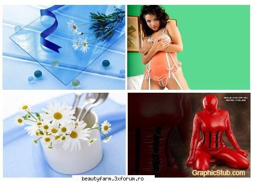 Excellent selection of Wall-paper For the Desktop! - Excellent selection of Wall-paper For - SCREEN SAVERS